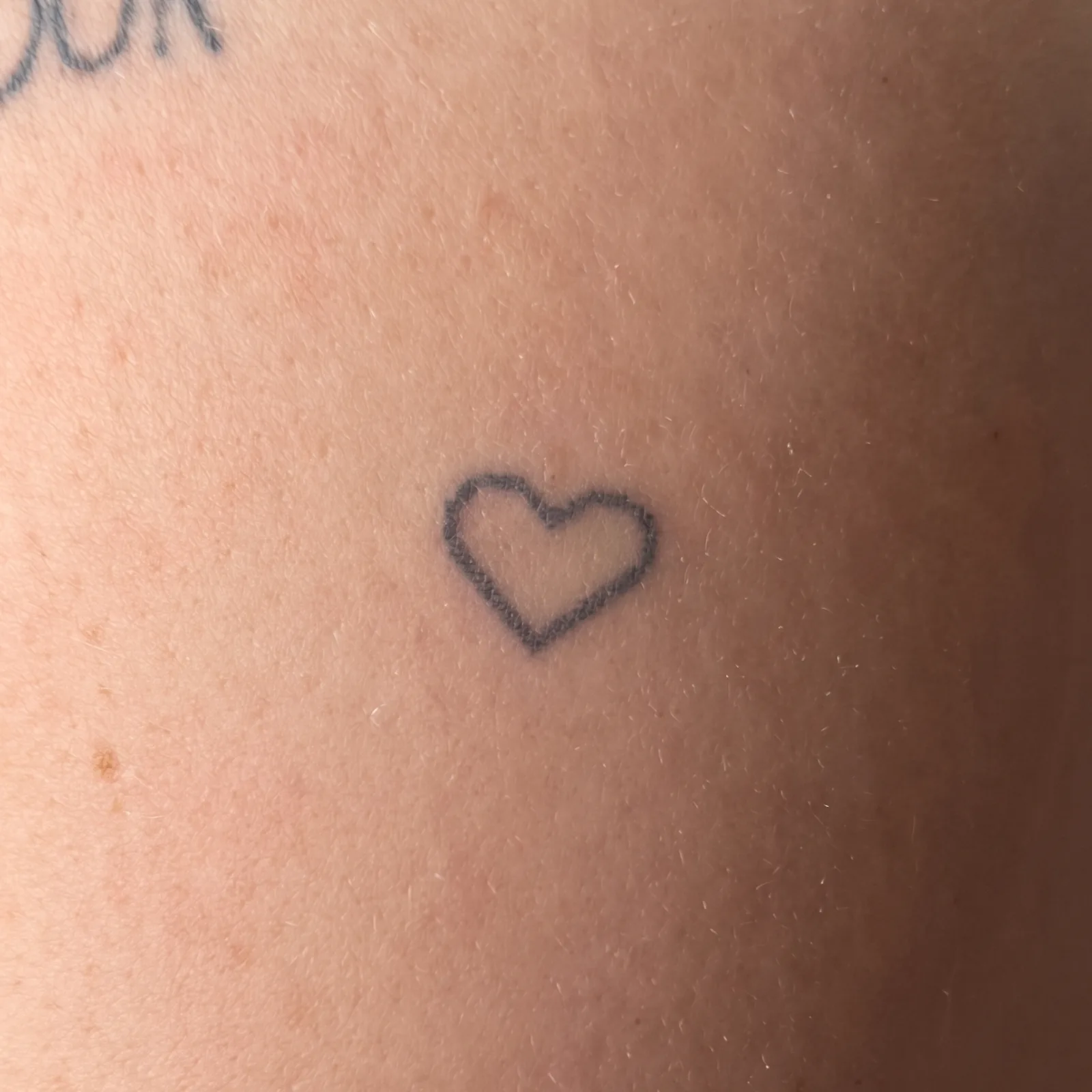 Valentine's Heart